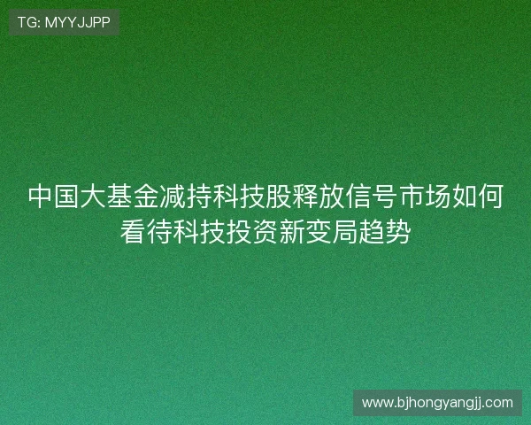 中国大基金减持科技股释放信号市场如何看待科技投资新变局趋势